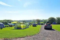 Grass pitches (optional electric)