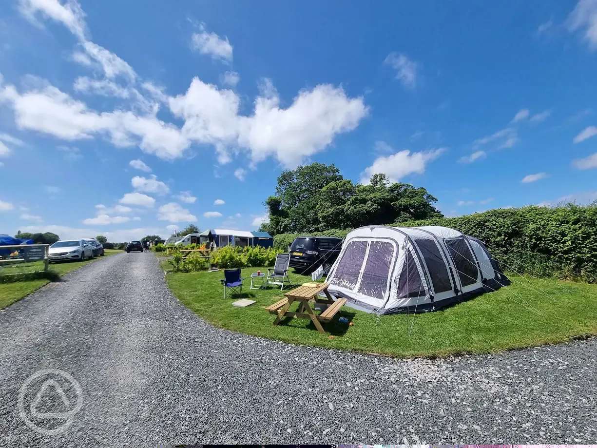 Grass tent pitches (optional electric)