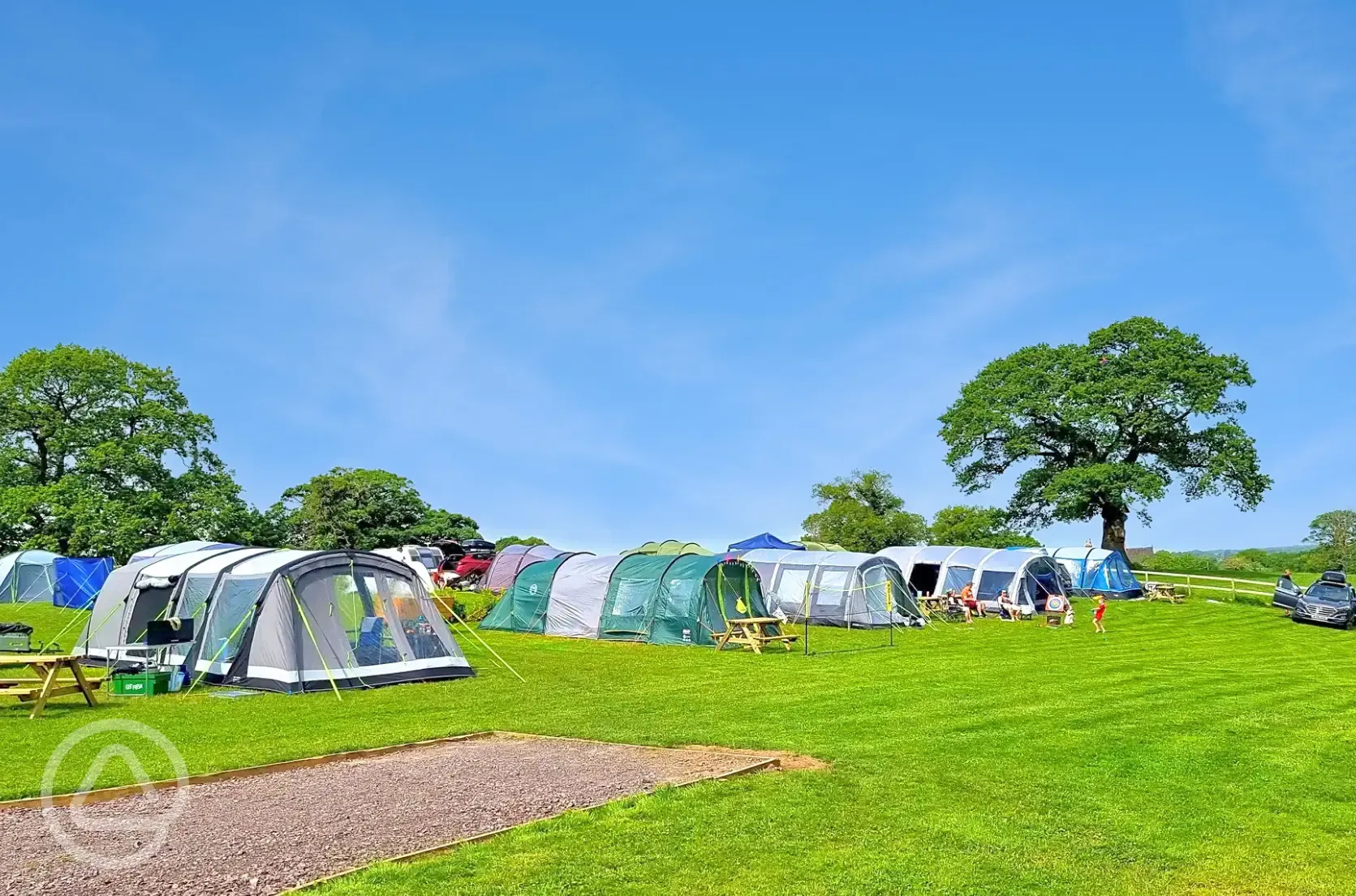 Grass pitches (optional electric)