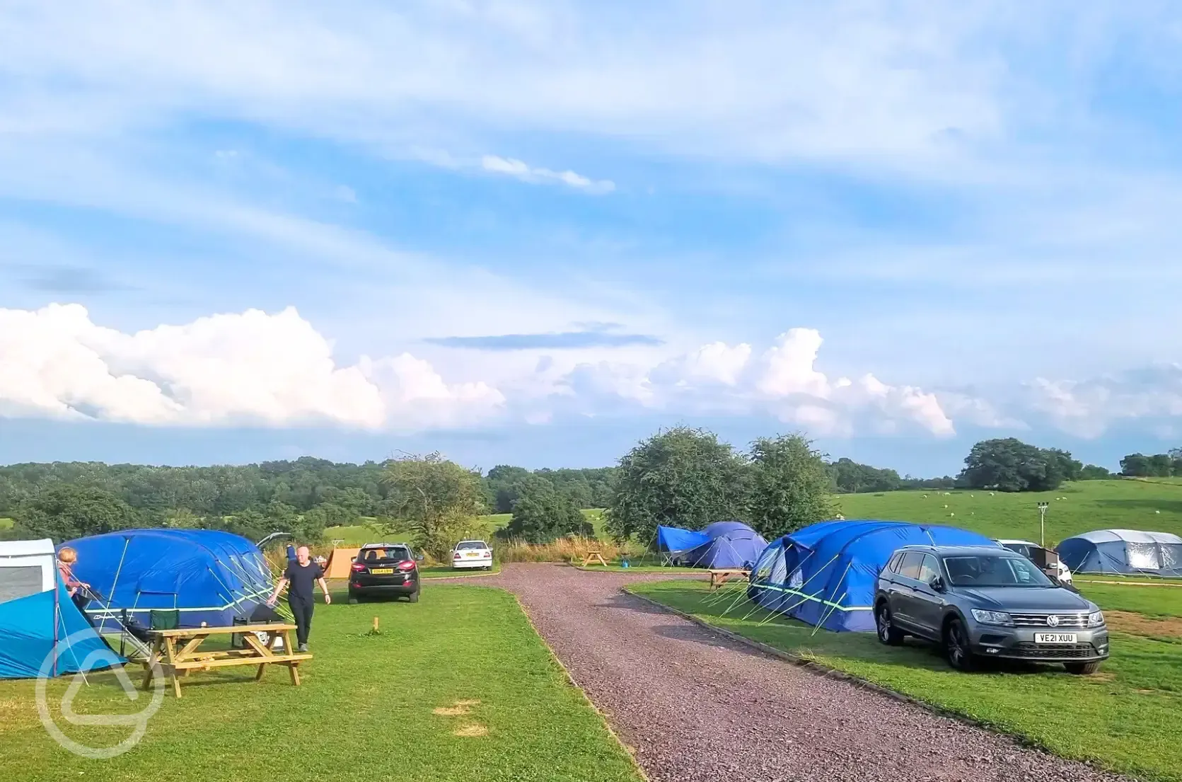 Grass pitches (optional electric)