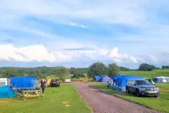 Grass pitches (optional electric) Grass pitches (optional electric)