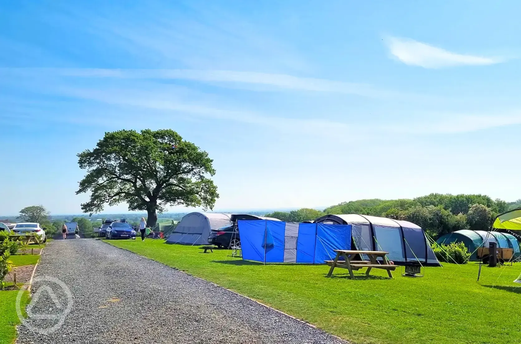 Grass pitches (optional electric)