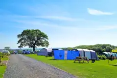 Grass pitches (optional electric)