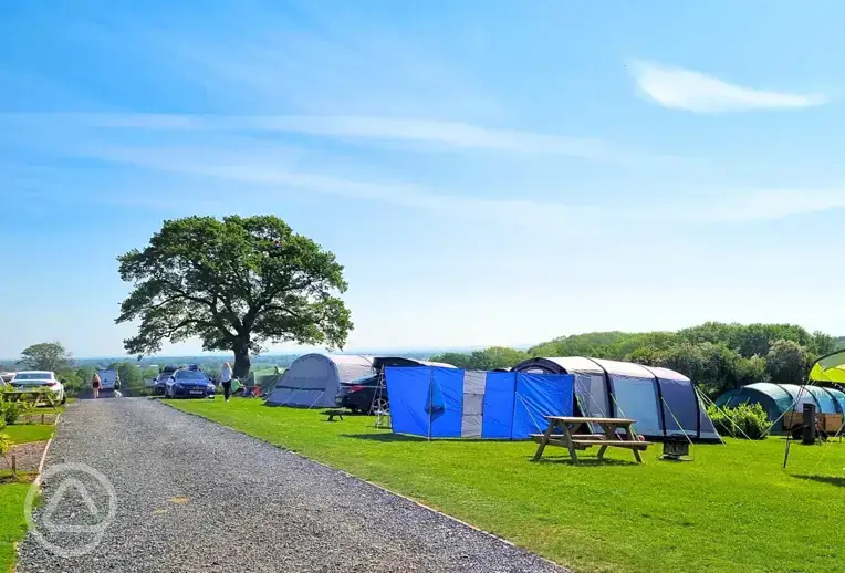 Grass pitches (optional electric)