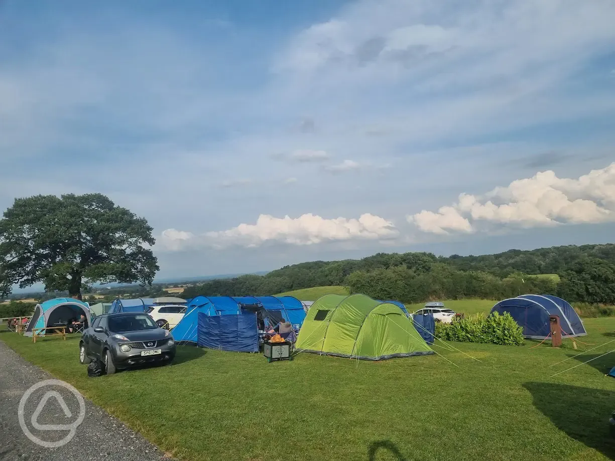 Grass tent pitches (optional electric)