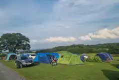 Grass tent pitches (optional electric)