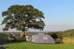 Grass tent pitches (optional electric)