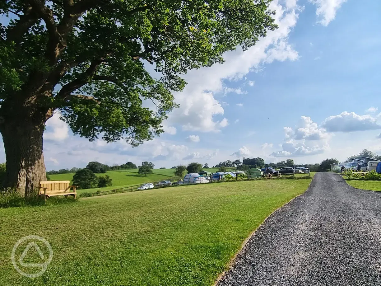 Grass tent pitches (optional electric)