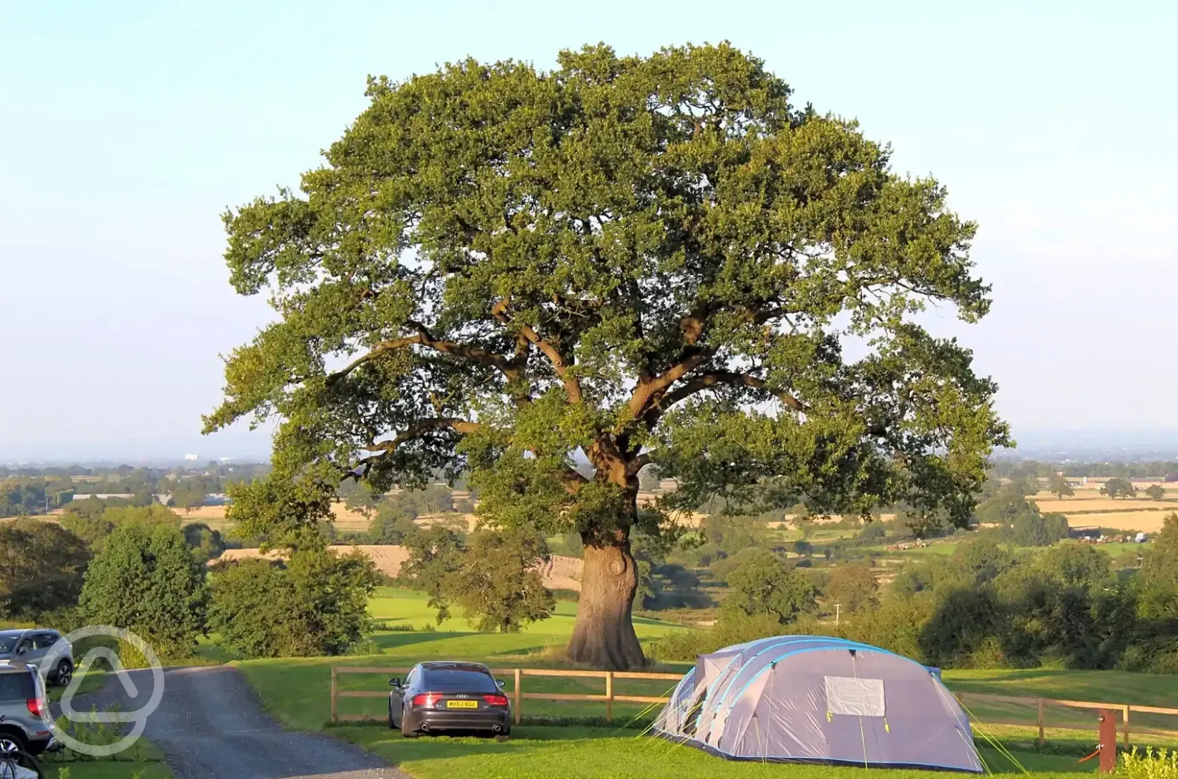 Grass pitches (optional electric)