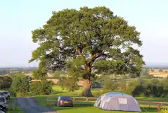 Grass pitches (optional electric) Grass pitches (optional electric)