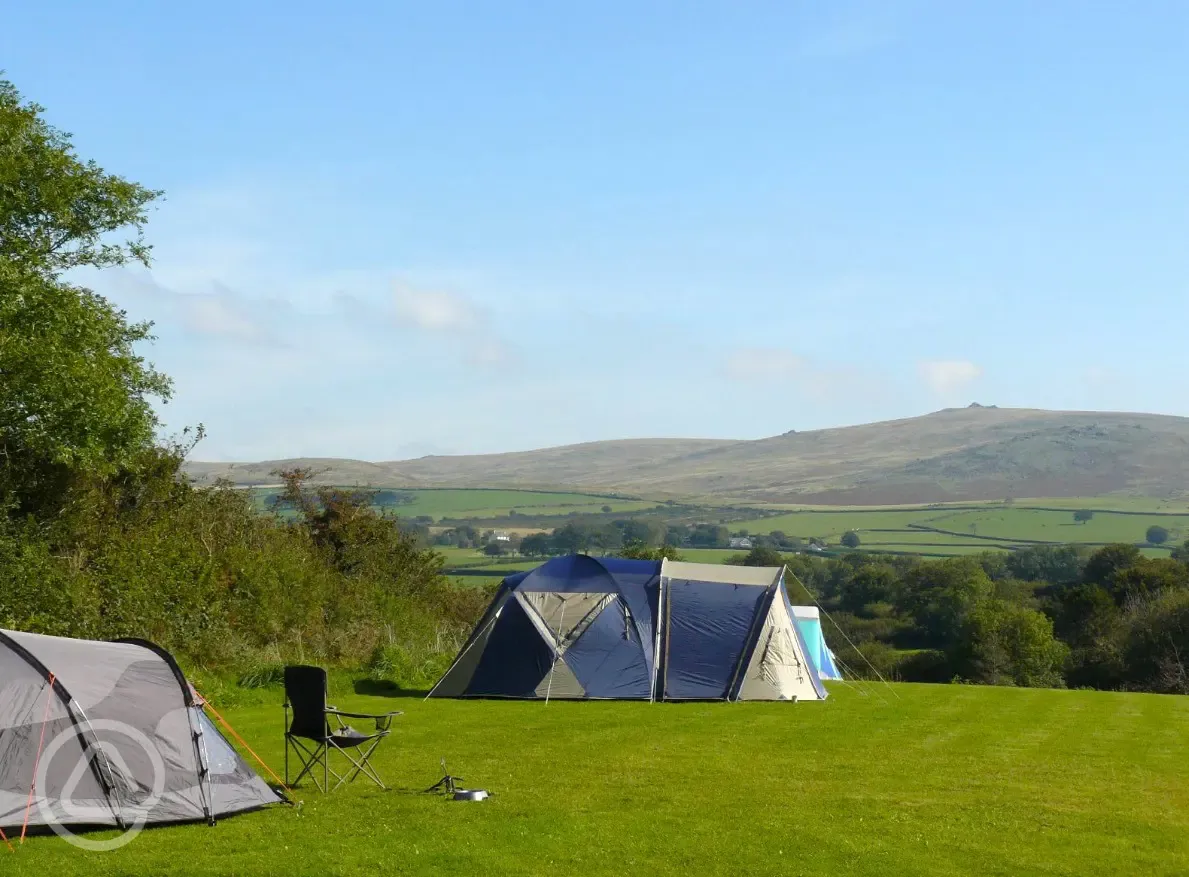 Grass pitches