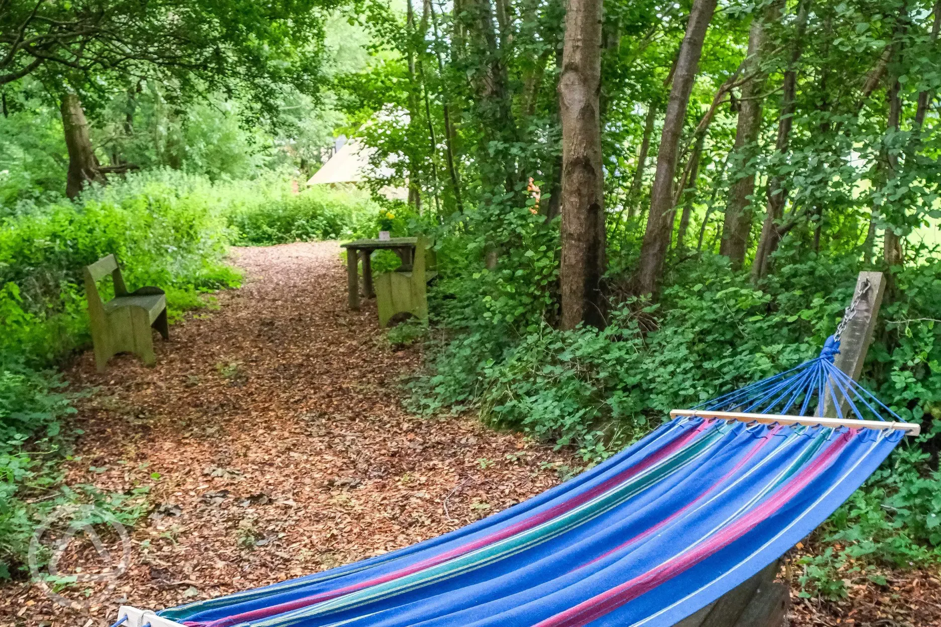 Hammock