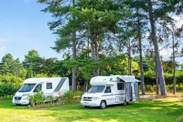 Serviced grass pitches with privacy hedging at Sutton Hoo Holidays Campsite