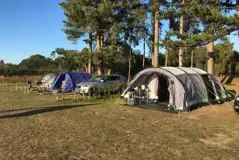 Large tents on a serviced grass pitch with optional electric