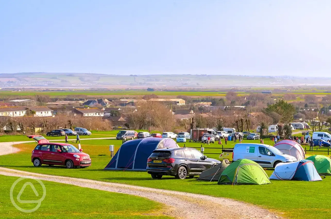 Electric grass pitches