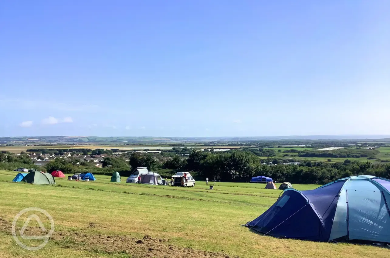 Non electric grass pitches