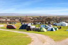 Electric grass pitches Electric grass pitches