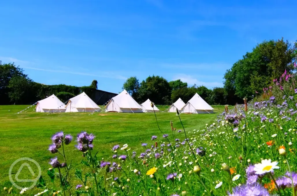 Bell tents