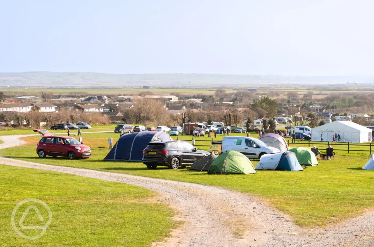 Electric grass pitches