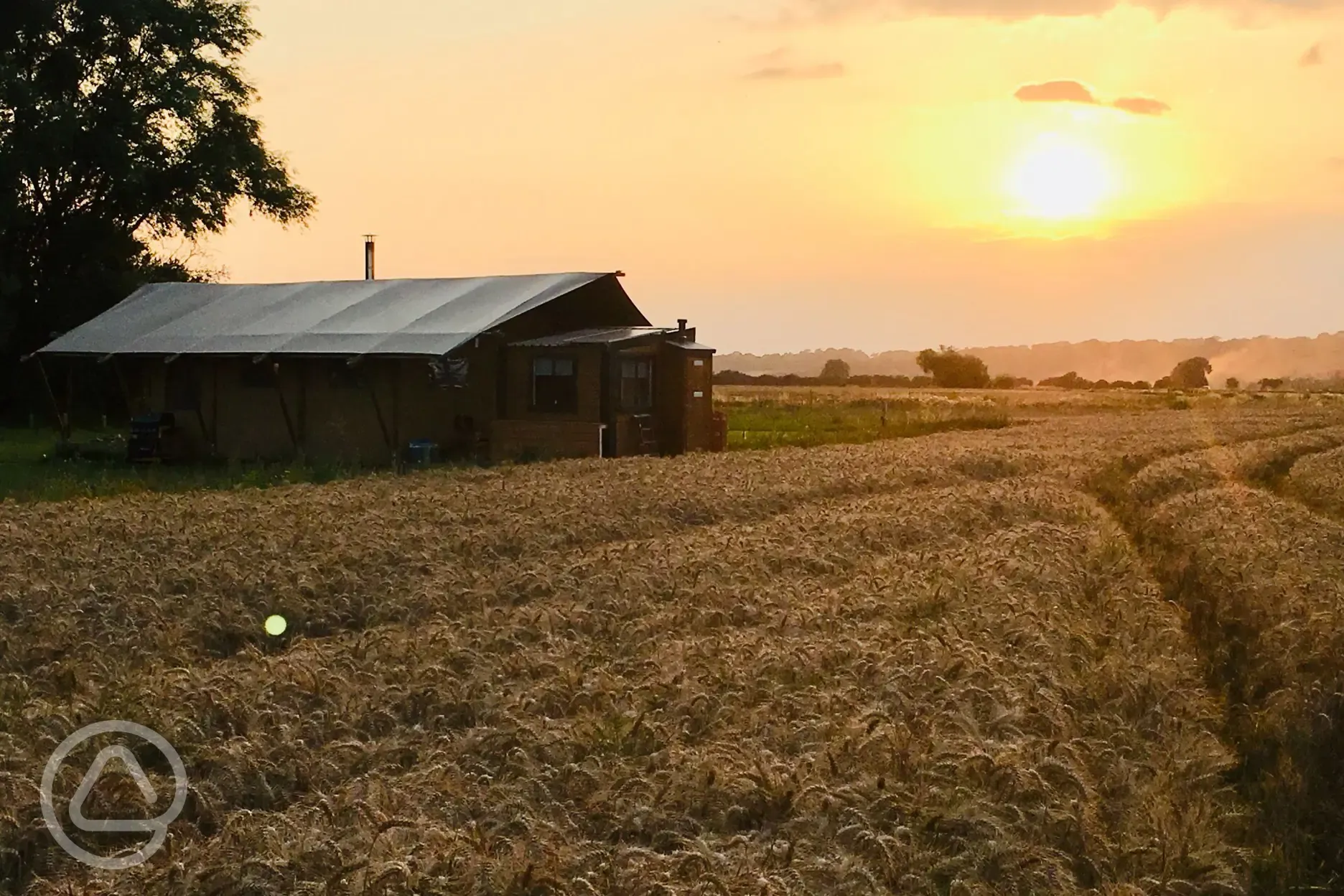 Sandpiper safari tent sunset