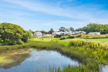 Onsite pond with otters, herons and ducks at Pelcomb Cross Campsite