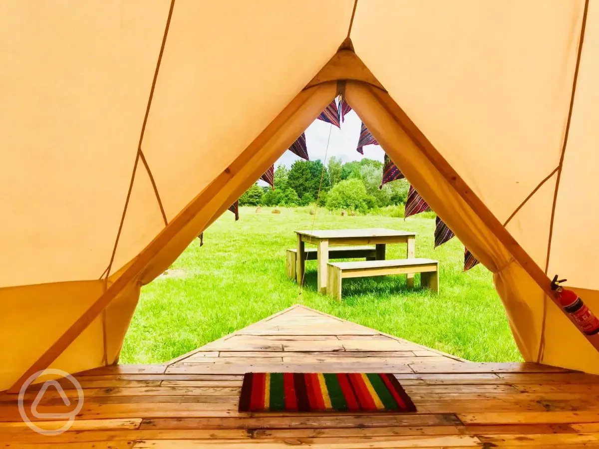 View from inside the bell tent