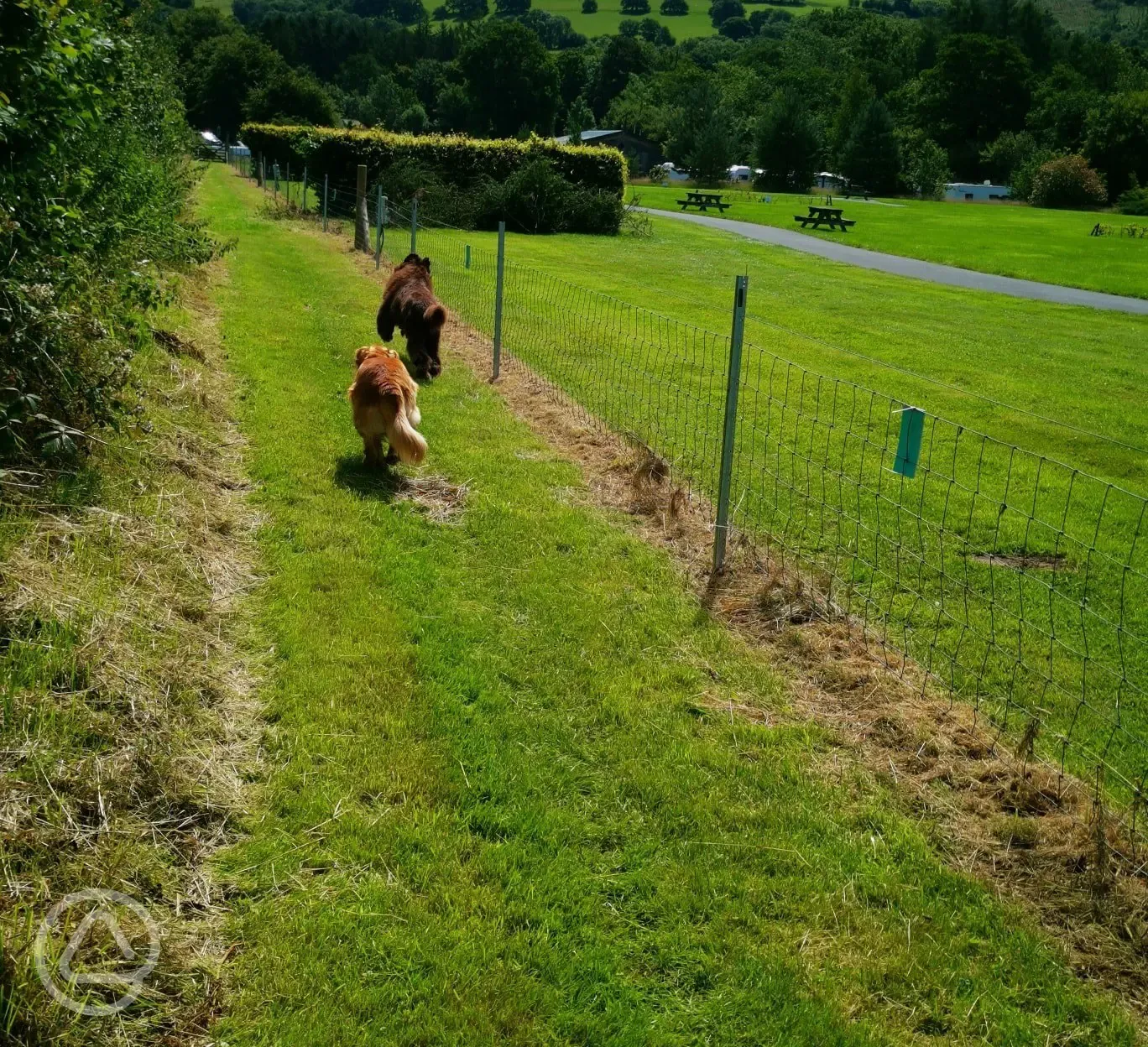 Dog walk onsite with beautiful countryside views