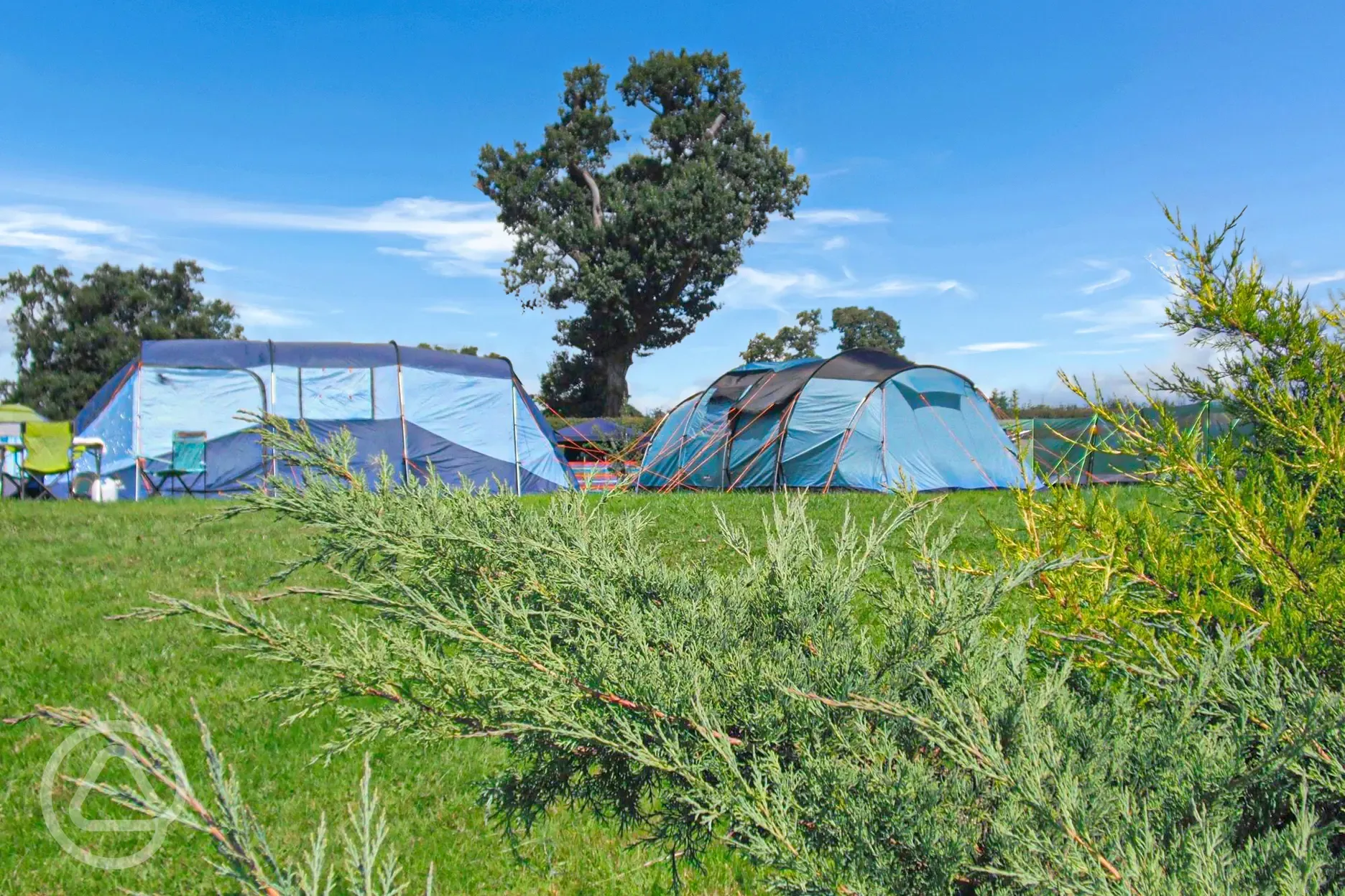 Tents on family friendly grass pitches 