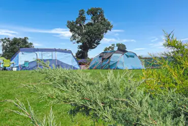 Tents on family friendly grass pitches 