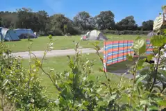 Grass pitches for tents Grass pitches for tents