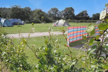Grass pitches for tents