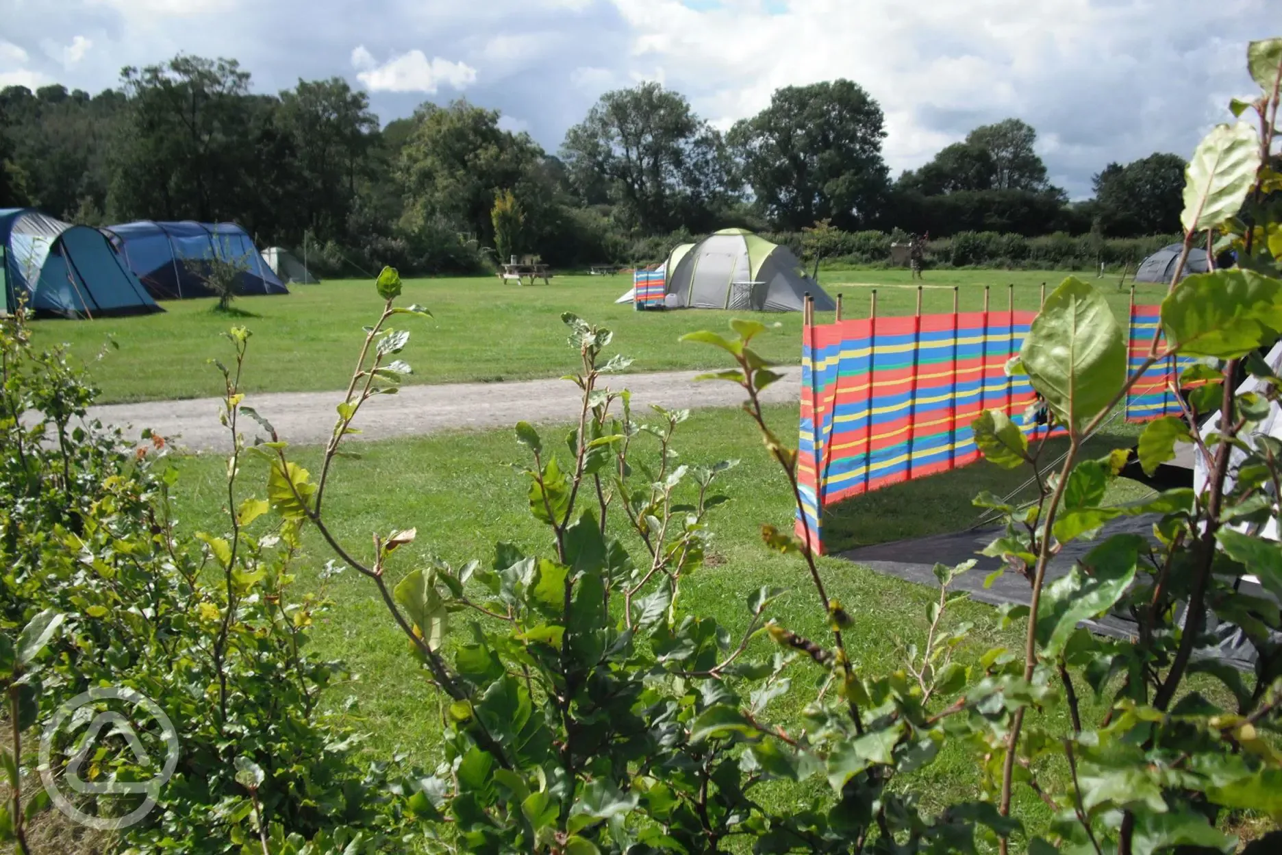 Grass pitches for tents