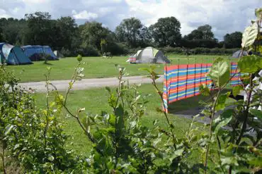 Grass pitches for tents