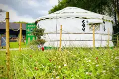 Glamping yurt with wildflowers