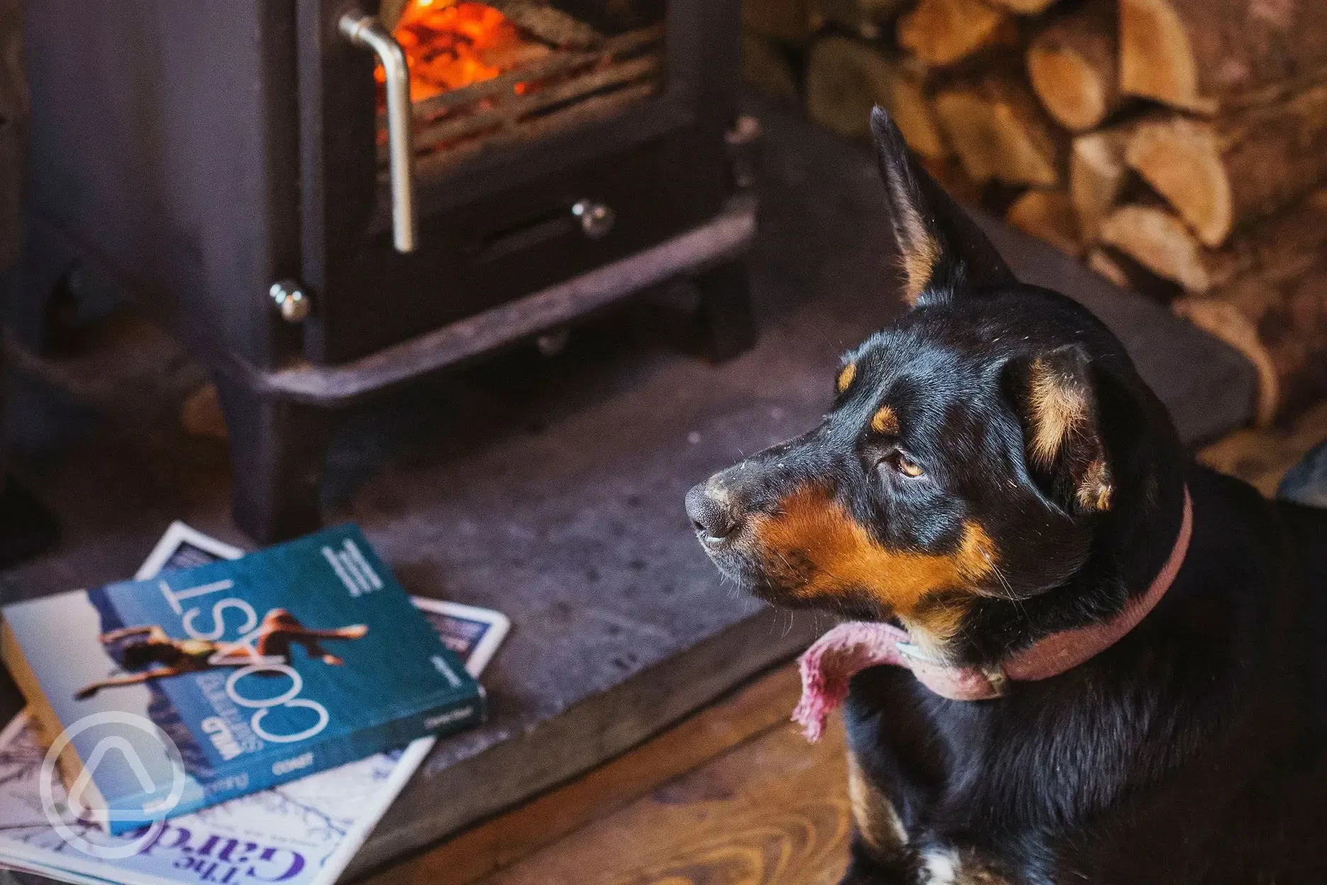 Dog friendly glamping