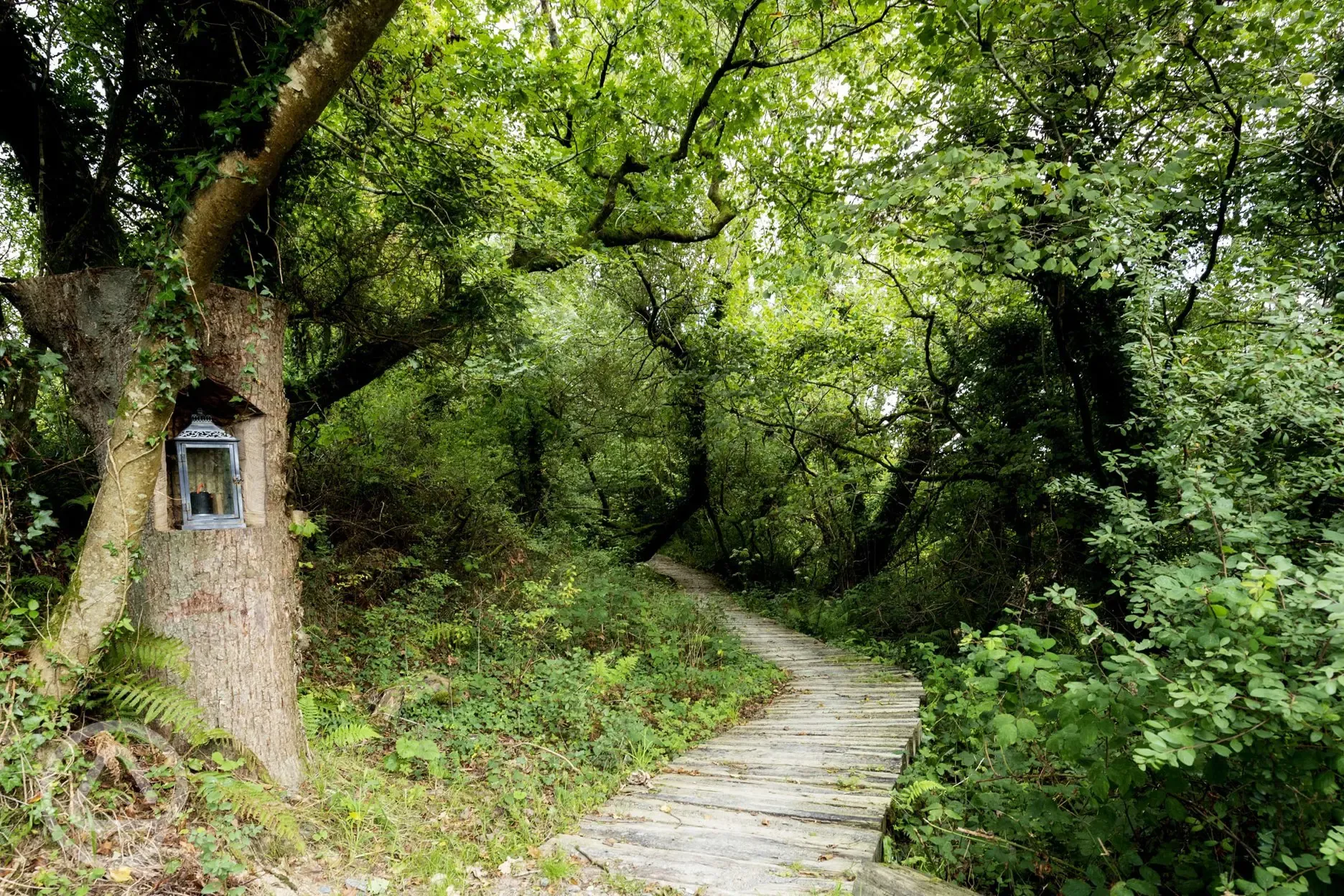 Meander down the magical reclaimed railway sleeper path 