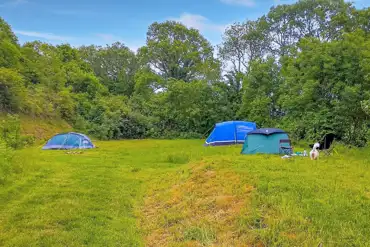 Non electric grass pitches at The Batch Campsite