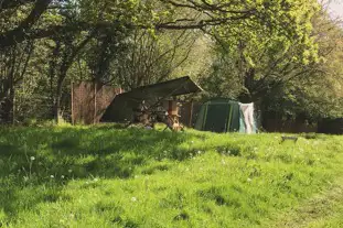 Wild Cherry Camping, Halton, Chirk, Wrexham Wild Cherry Camping, Halton, Chirk, Wrexham