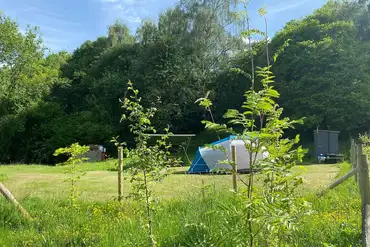 Wild Cherry Camping non electric grass pitches