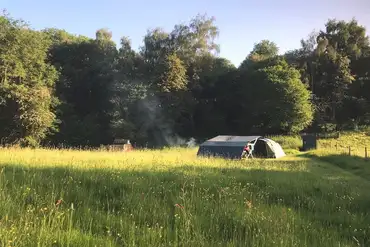 Wild Cherry Camping non electric grass pitches