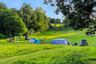Wild Cherry Camping, Halton, Chirk, Wrexham Wild Cherry Camping, Halton, Chirk, Wrexham