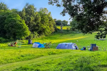 Wild Cherry Camping non electric grass pitches