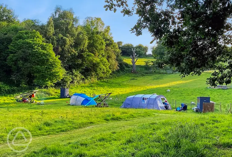Wild Cherry Camping non electric grass pitches