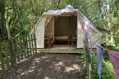 View of Coppice tent View of Coppice tent