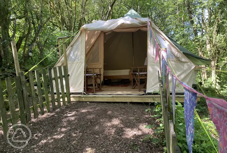 View of Coppice tent