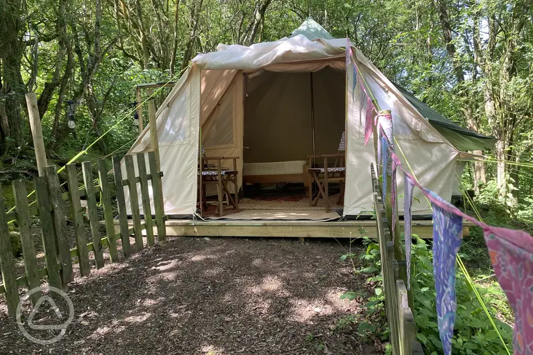 View of Coppice tent