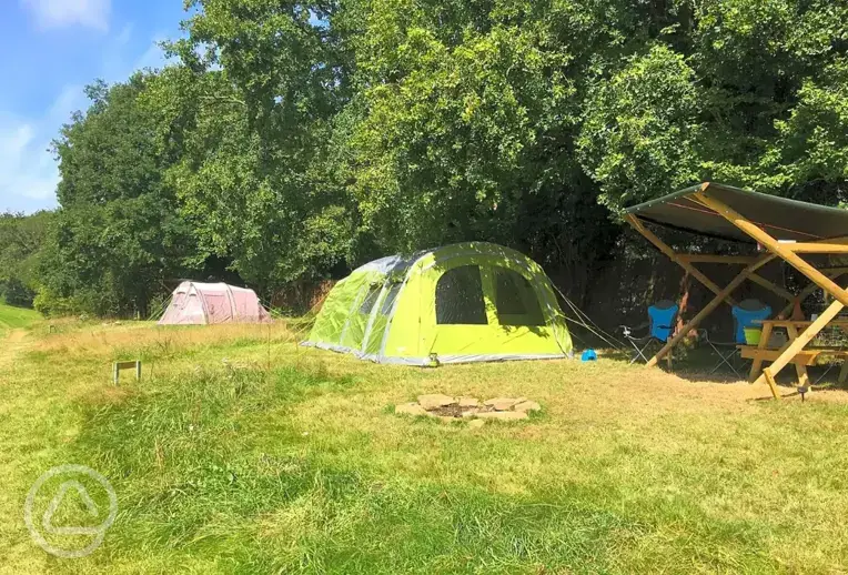 Wild Cherry Camping non electric grass pitches