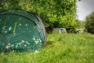 Wild Cherry Camping, Halton, Chirk, Wrexham