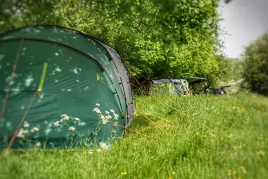 Wild Cherry Eco Campsite 