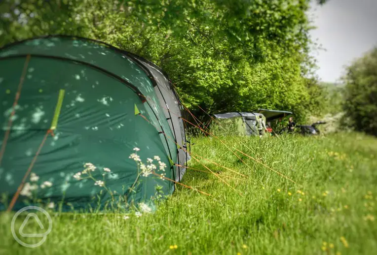 Non electric grass pitches
